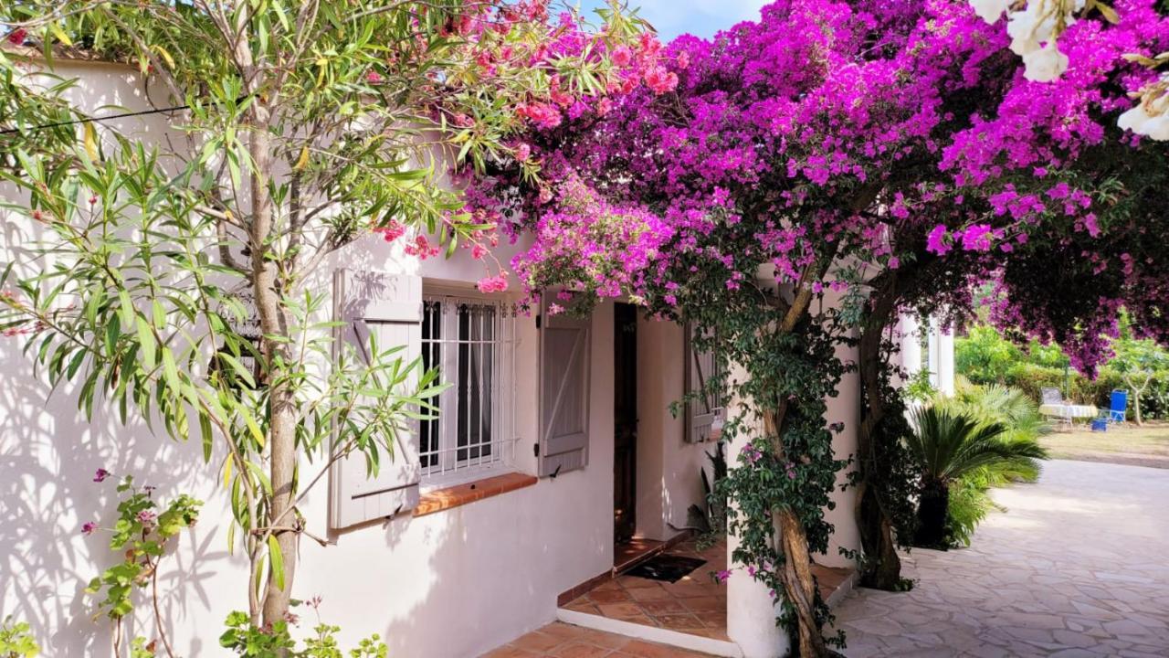 Villa Provencale A Sainte Maxime, Golf De Saint Tropez Exterior foto