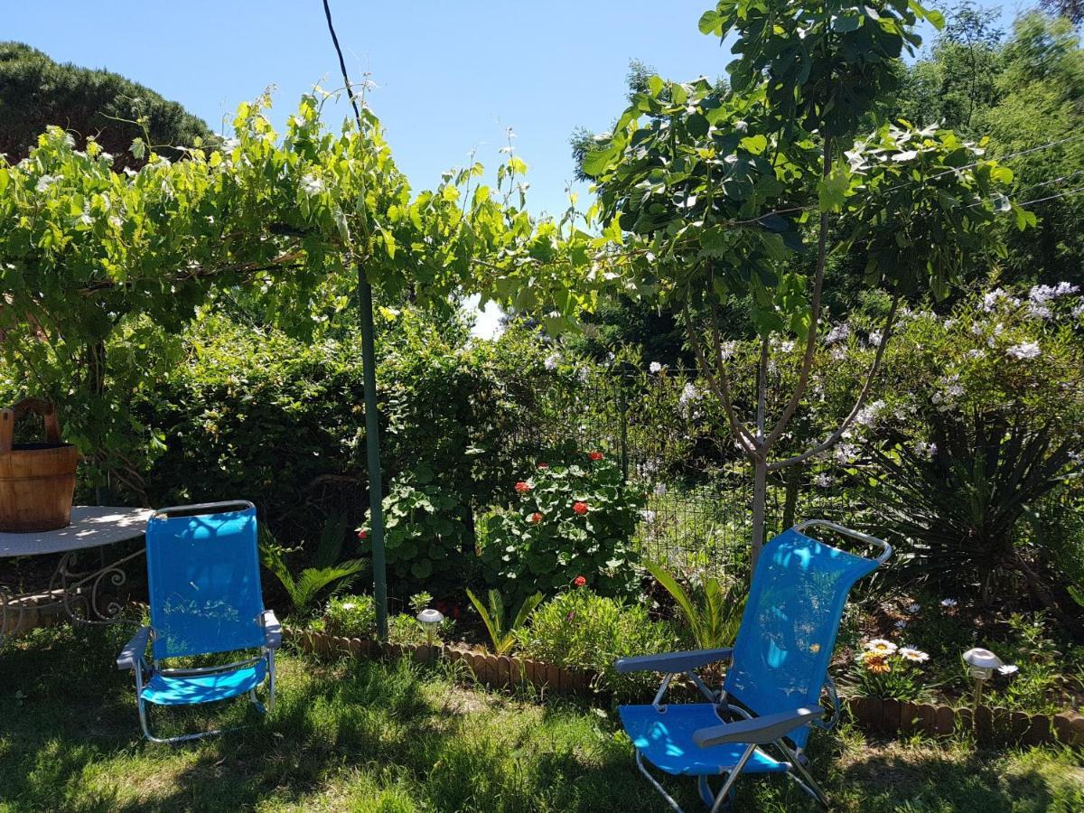 Villa Provencale A Sainte Maxime, Golf De Saint Tropez Exterior foto